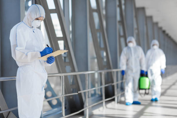 Best Industrial Mold Remediation  in Levittown, NY