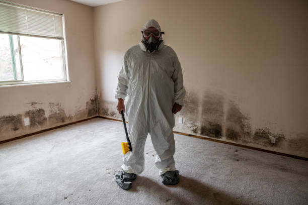 Best Airborne Mold Testing  in Levittown, NY