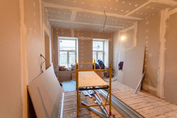 Professional Mold Removal in Levittown, NY